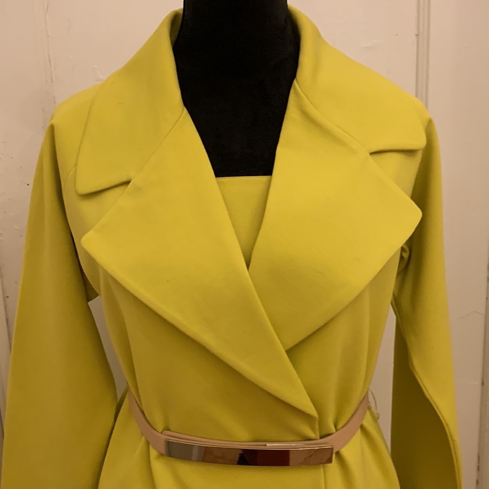SPIEGEL Like New 2 PC Dress & Coat - Picture 8 of 13